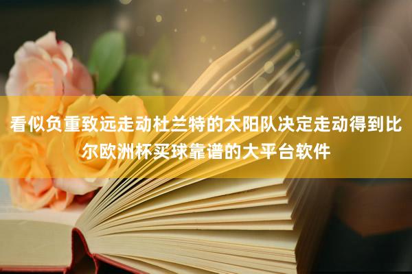 看似负重致远走动杜兰特的太阳队决定走动得到比尔欧洲杯买球靠谱的大平台软件