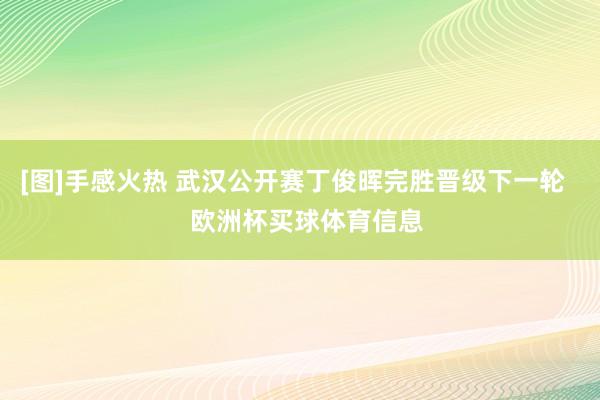 [图]手感火热 武汉公开赛丁俊晖完胜晋级下一轮    欧洲杯买球体育信息