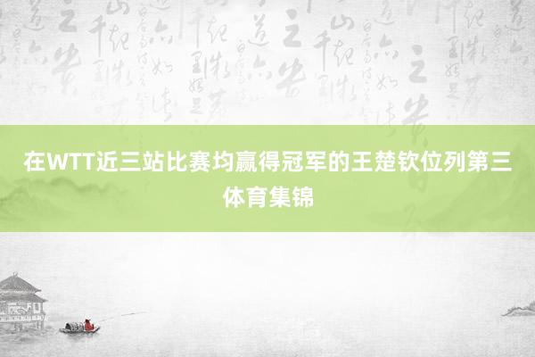 在WTT近三站比赛均赢得冠军的王楚钦位列第三体育集锦