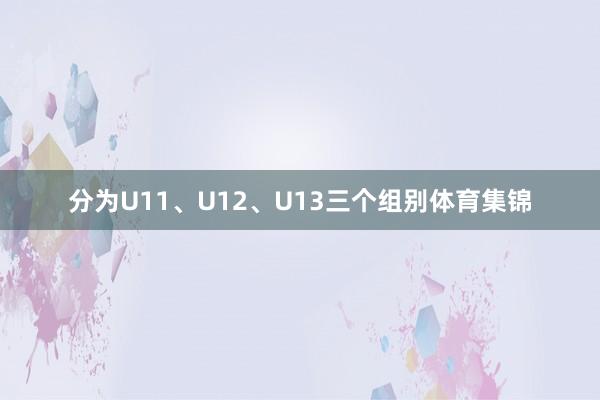 分为U11、U12、U13三个组别体育集锦