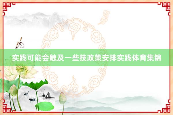 实践可能会触及一些技政策安排实践体育集锦