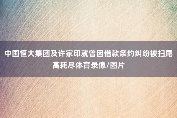 中国恒大集团及许家印就曾因借款条约纠纷被扫尾高耗尽体育录像/图片