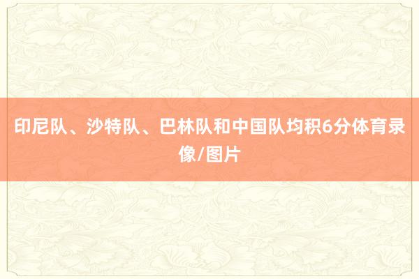 印尼队、沙特队、巴林队和中国队均积6分体育录像/图片