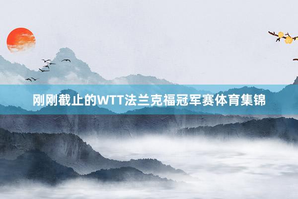 刚刚截止的WTT法兰克福冠军赛体育集锦