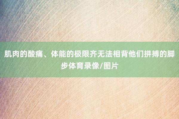 肌肉的酸痛、体能的极限齐无法相背他们拼搏的脚步体育录像/图片