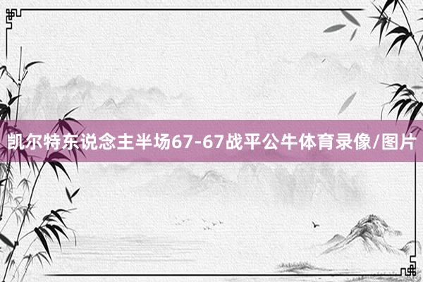 凯尔特东说念主半场67-67战平公牛体育录像/图片