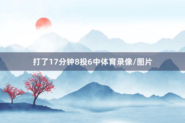 打了17分钟8投6中体育录像/图片